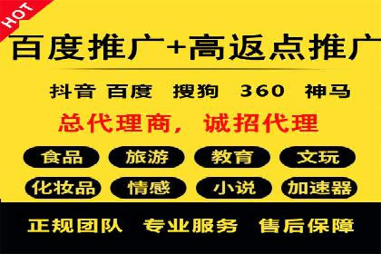 SEM推广案例：打造高效广告投放策略